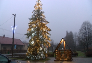 V Petrovicích již svítí vánoční stromeček 